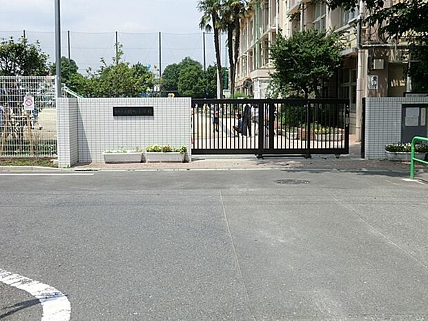 練馬区立関町小学校まで約515m