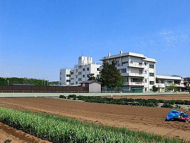 新座市立新堀小学校まで約590m