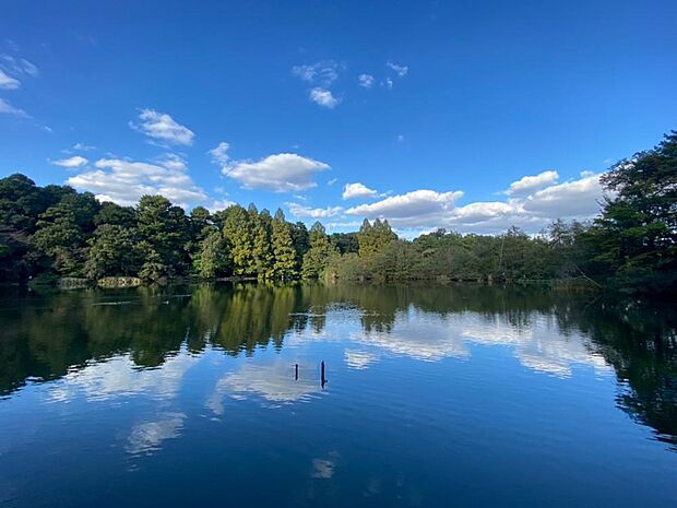石神井公園まで約1800m