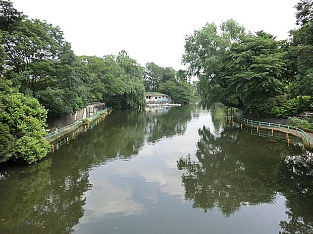 武蔵関公園まで約496m
