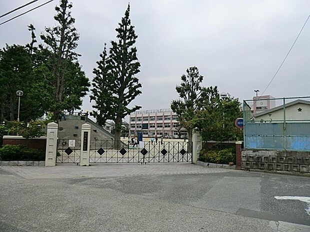 練馬区立石神井東小学校まで約576m