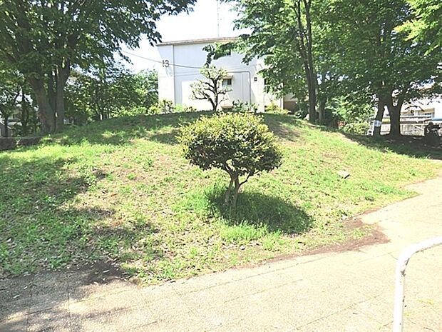 野火止公園まで約825m