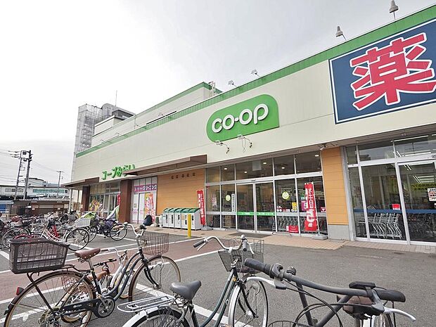 コープ柴崎店まで約1297m