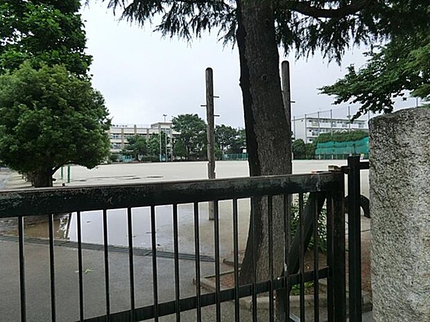 練馬区立大泉東小学校まで約743m