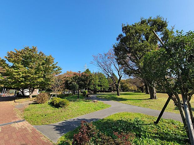 武蔵野公園まで約650m