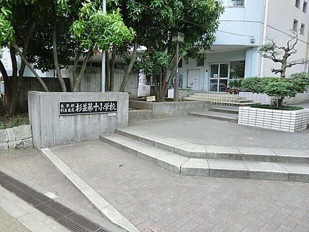 杉並区立杉並第十小学校まで約702m