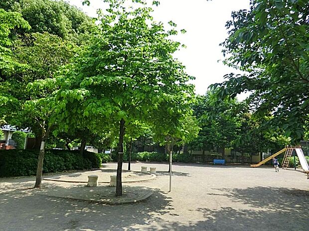 柴崎公園まで約487m