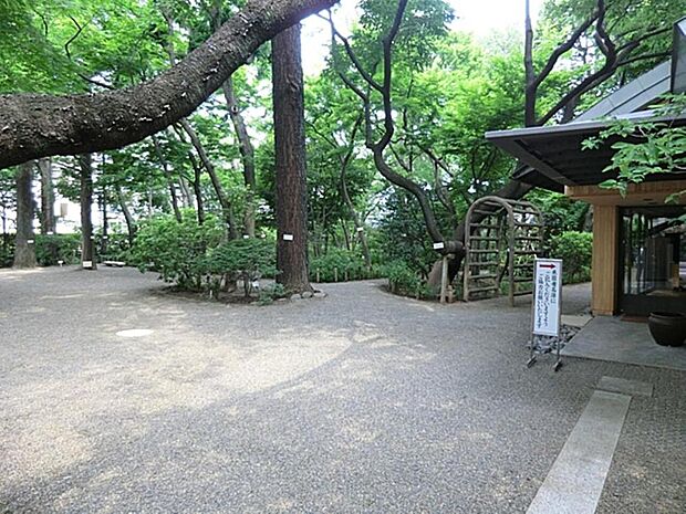 牧野記念庭園まで約650m