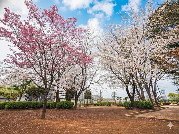 東村山私立運動公園まで約3500m