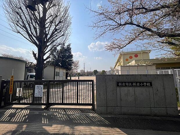 新座小学校まで約600m