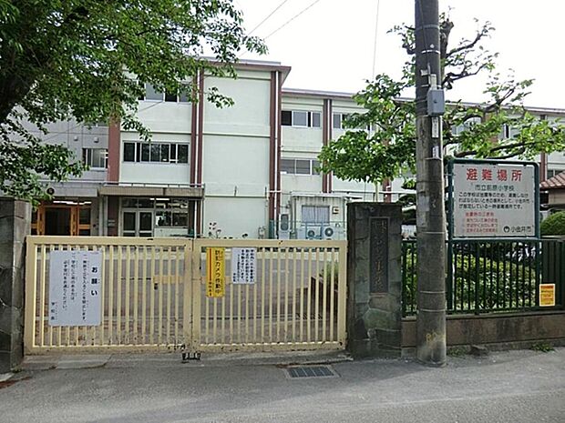 小金井市立前原小学校まで約411m