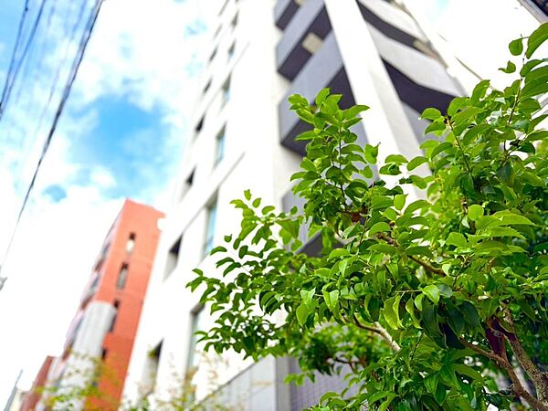 【Exterior】外観