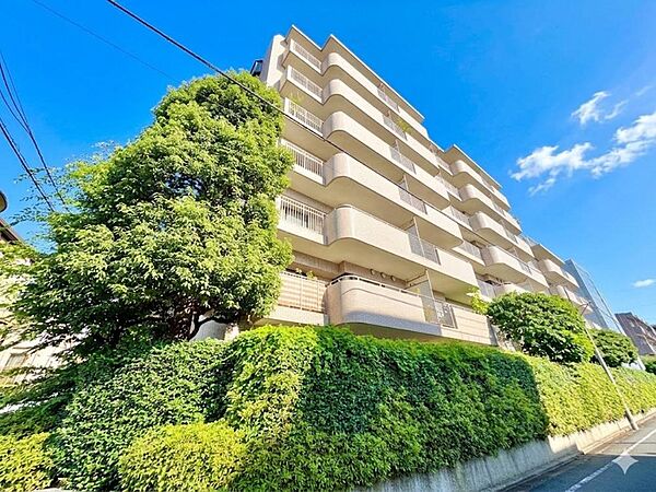 「CG加工により空を晴天にしています」【Exterior】外観