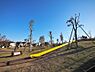 周辺：東伏見公園まで約1000m