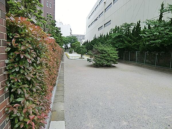 えのき橋児童遊園まで約395m