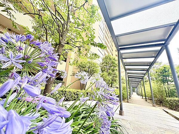 【Exterior】外観
