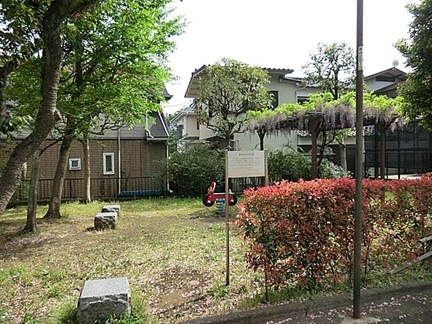 貫井もちのき公園まで約250m