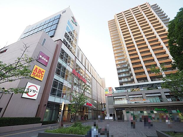 イトーヨーカドー武蔵小金井店まで約860m