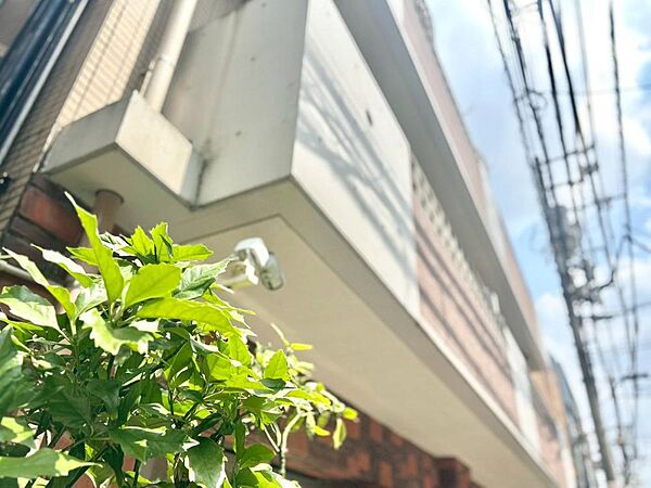 【Exterior】外観