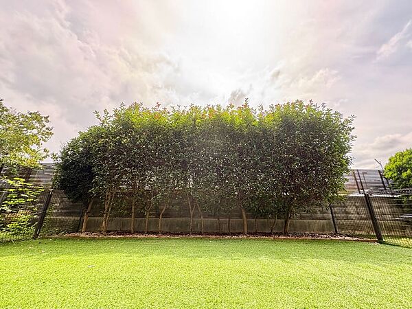 【Garden】庭