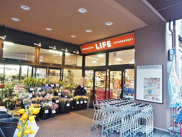 ライフ仲宿店まで約504m