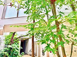 LAYERS HOUSE 杉並善福寺川公園
