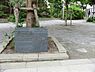 周辺：西原どんぐり公園まで約277m