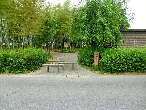 竹林公園まで約442m
