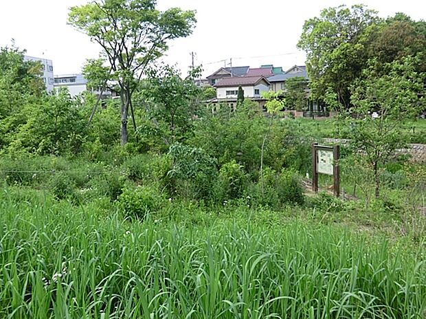 南沢水辺公園まで約357m