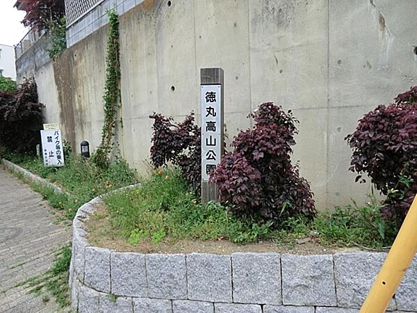 徳丸高山公園まで約370m