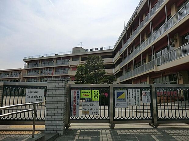 戸田市立戸田南小学校まで約606m