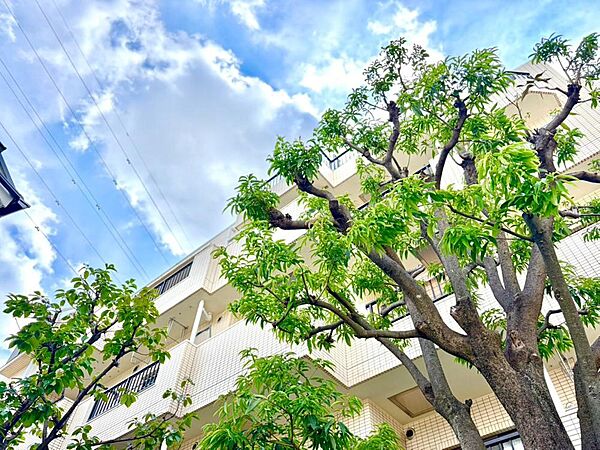【Exterior】外観