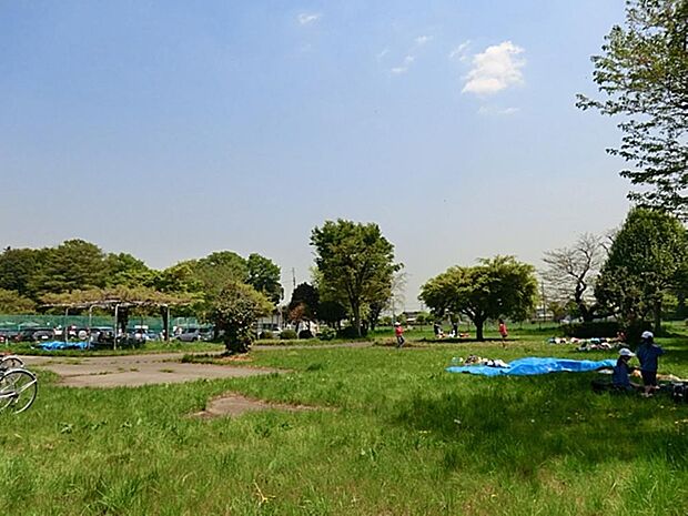 西堀公園まで約704m