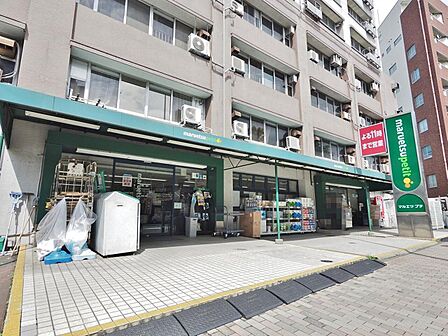 マルエツプチ東池袋五丁目店まで約428m