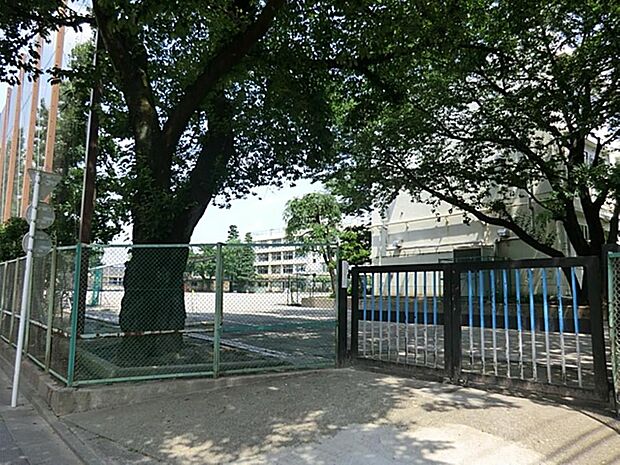 練馬区立上石神井中学校まで約621m