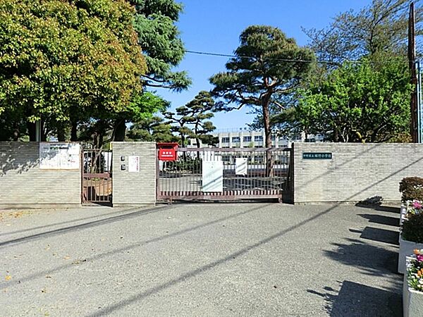 中野区立緑野小学校まで約252m