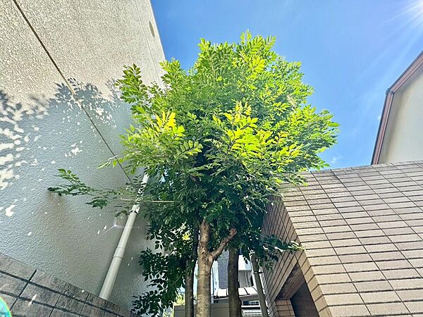 【Exterior】外観