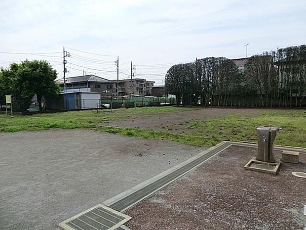 けんか広場まで約255m