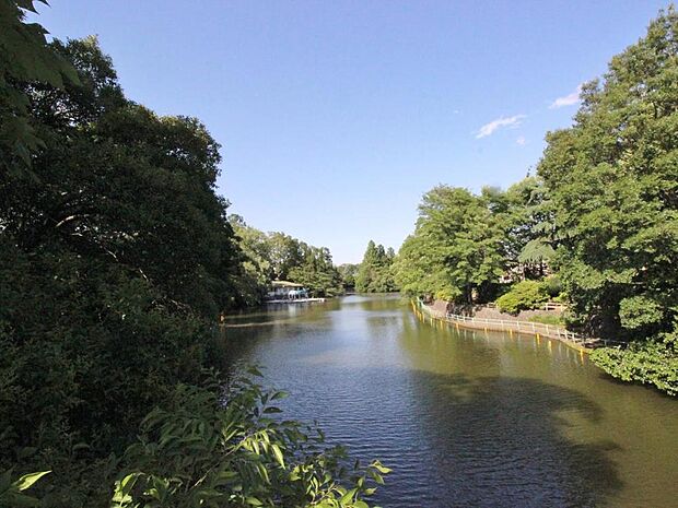 武蔵関公園まで約1800m