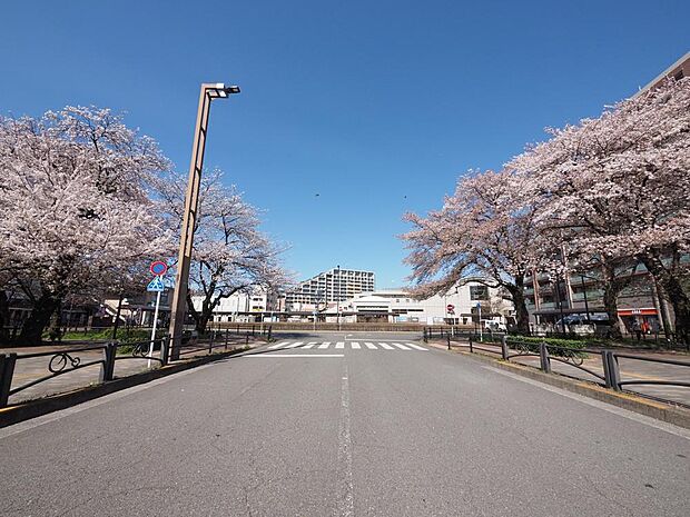 花小金井駅まで約880m