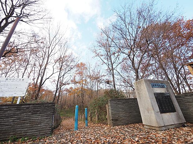 西原自然公園まで約479m