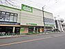 周辺：コープ中野鷺宮店まで約850m