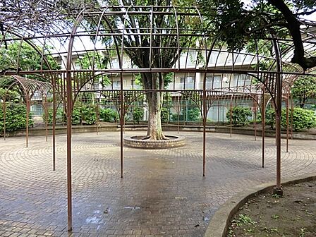 光和公園まで約642m