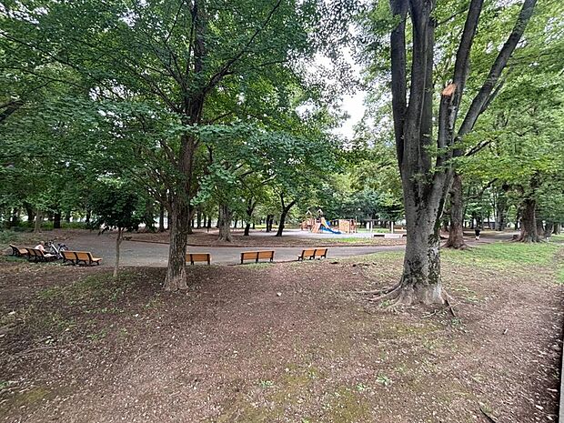 城北中央公園まで約439m