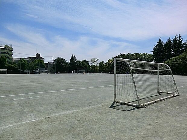 練馬区立仲町小学校まで約425m
