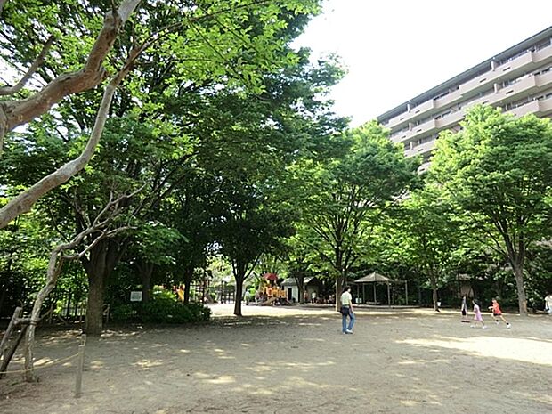 西口中央公園まで約776m