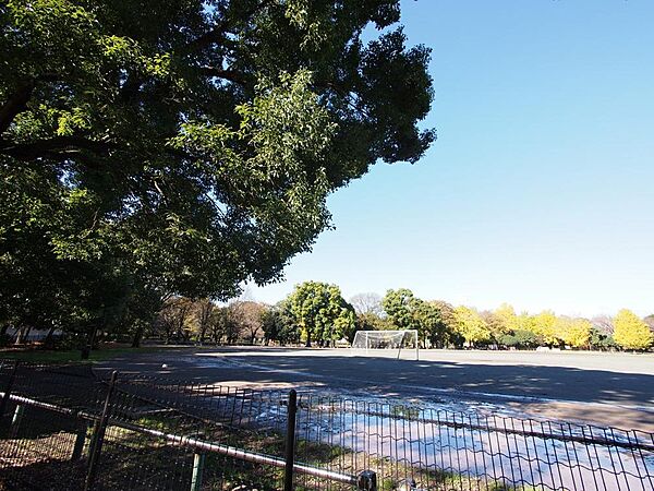 和田堀公園まで約1600m