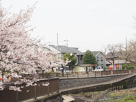 大泉井頭公園まで約969m