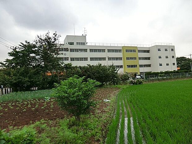 志木市立宗岡第三小学校まで約617m