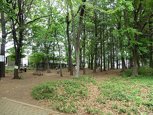 栗原緑地公園まで約794m
